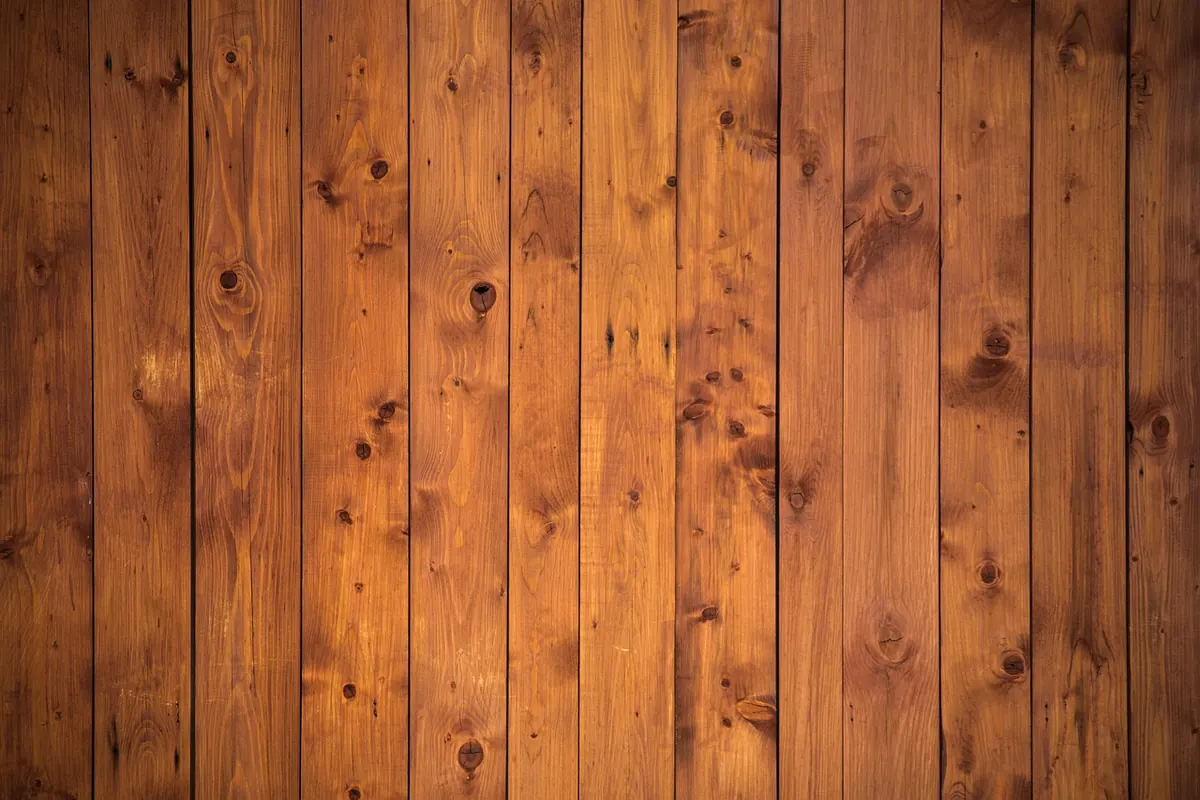 Understanding Hardwood vs Softwood: A UK Woodworker's Guide